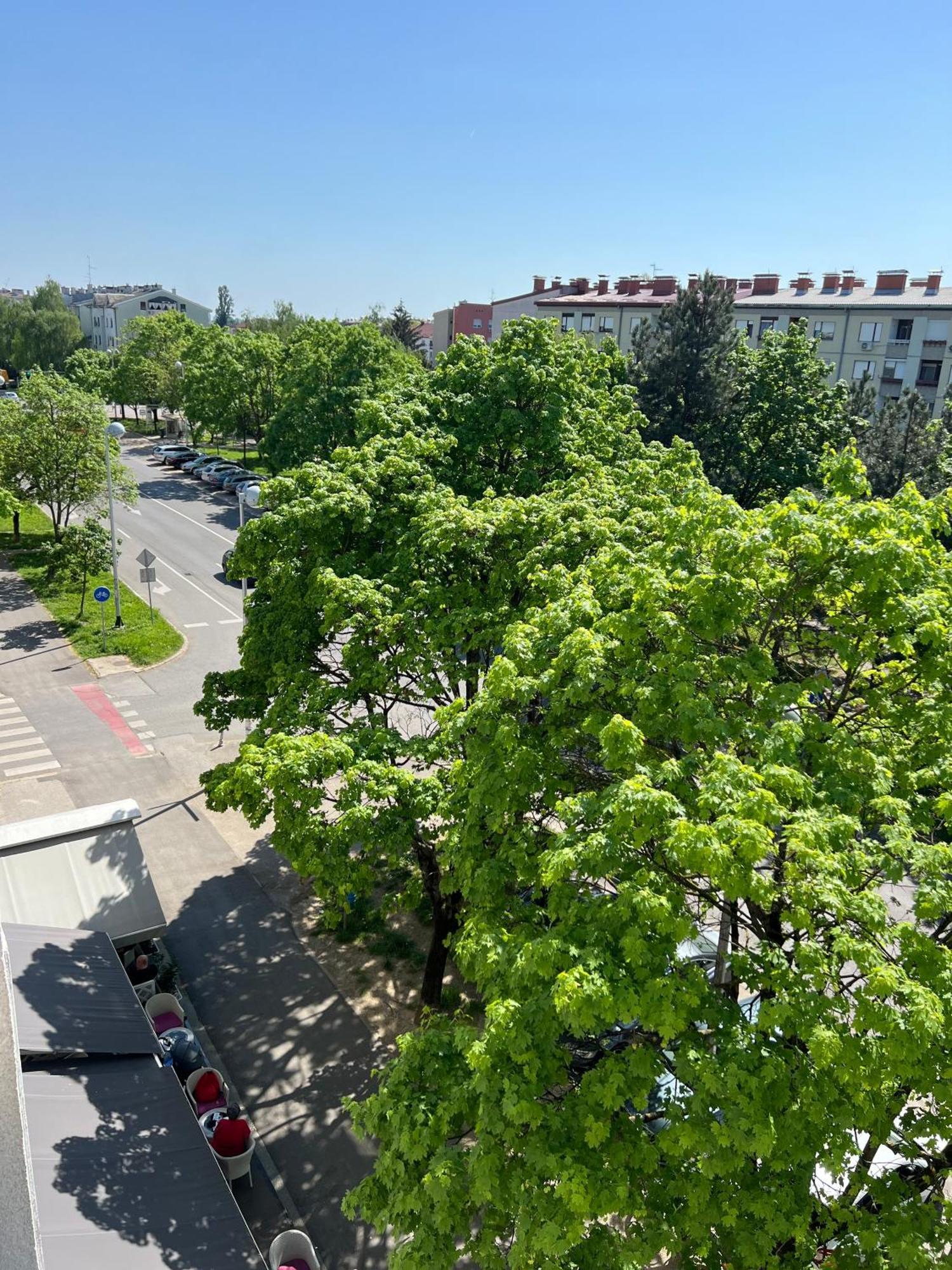 Rita Apartment-Free Parking&Wifi Zagrzeb Zewnętrze zdjęcie
